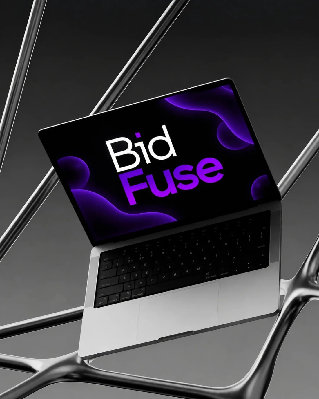 Proyecto Bidfuse