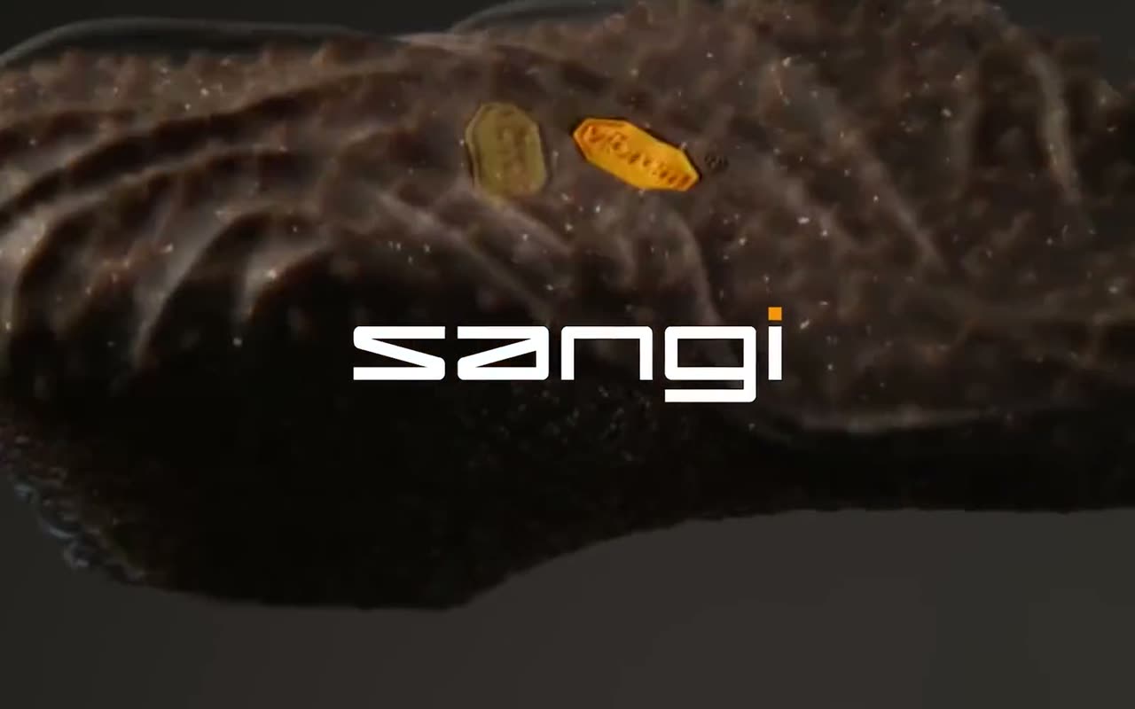 Caso Sangi